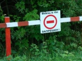 Ограничение пребывания в лесах законно